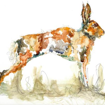 Trisha Watercolour