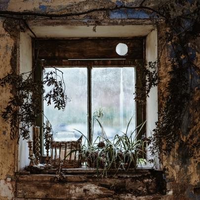 Walled Garden Helen's Bay Window