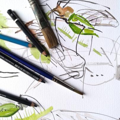 Drawing pencils