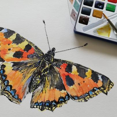 watercolour butterfly