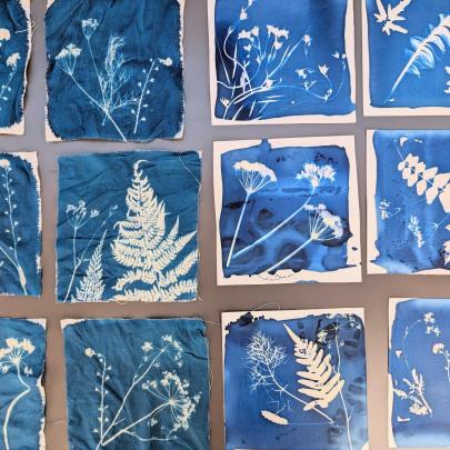 Cyanotype prints