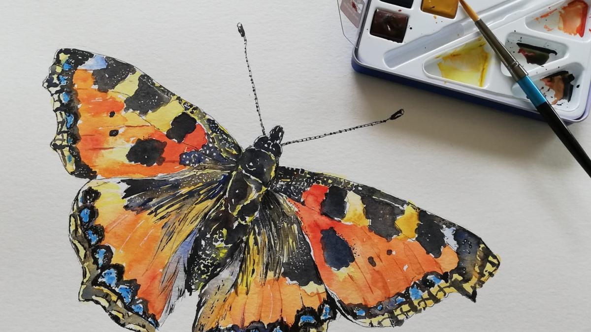 watercolour butterfly