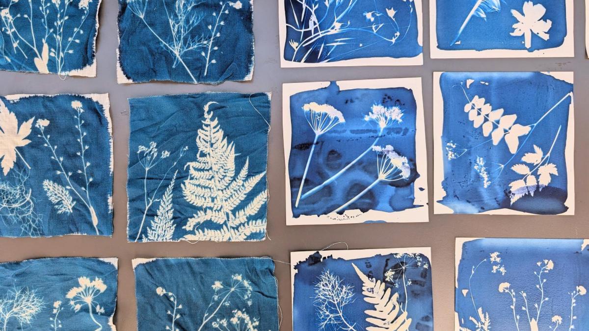 Cyanotype prints