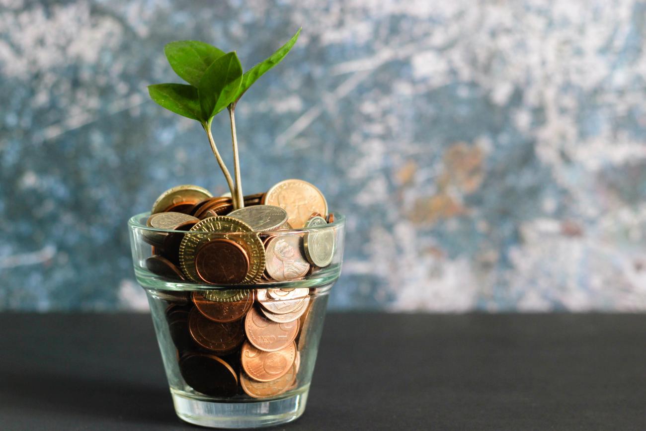 Image of a pot of money with a plant growing from it.